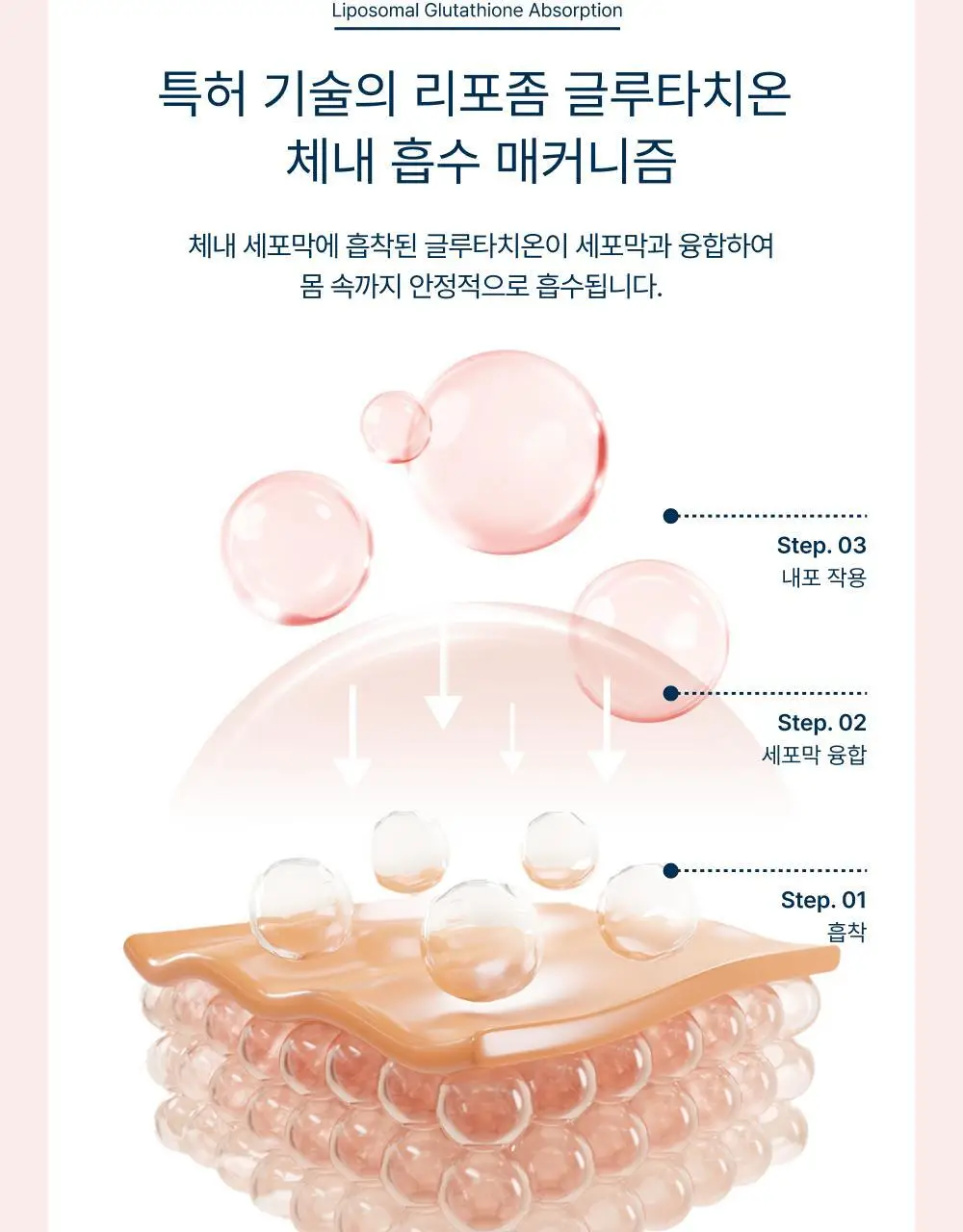 [윤광UP]온리추얼 글로우업 콜라겐 7포 (+1포 증정) (8일분) 상세페이지 9